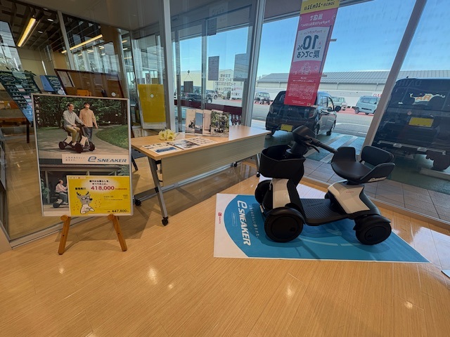 ✨e SNEAKER展示中です✨